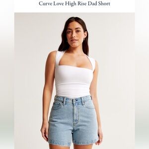 Abercrombie & Fitch curve love dad shorts